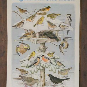 Brocante schoolplaat ‘Vogels om ons heen’ – uitgave Thieme – Zutphen