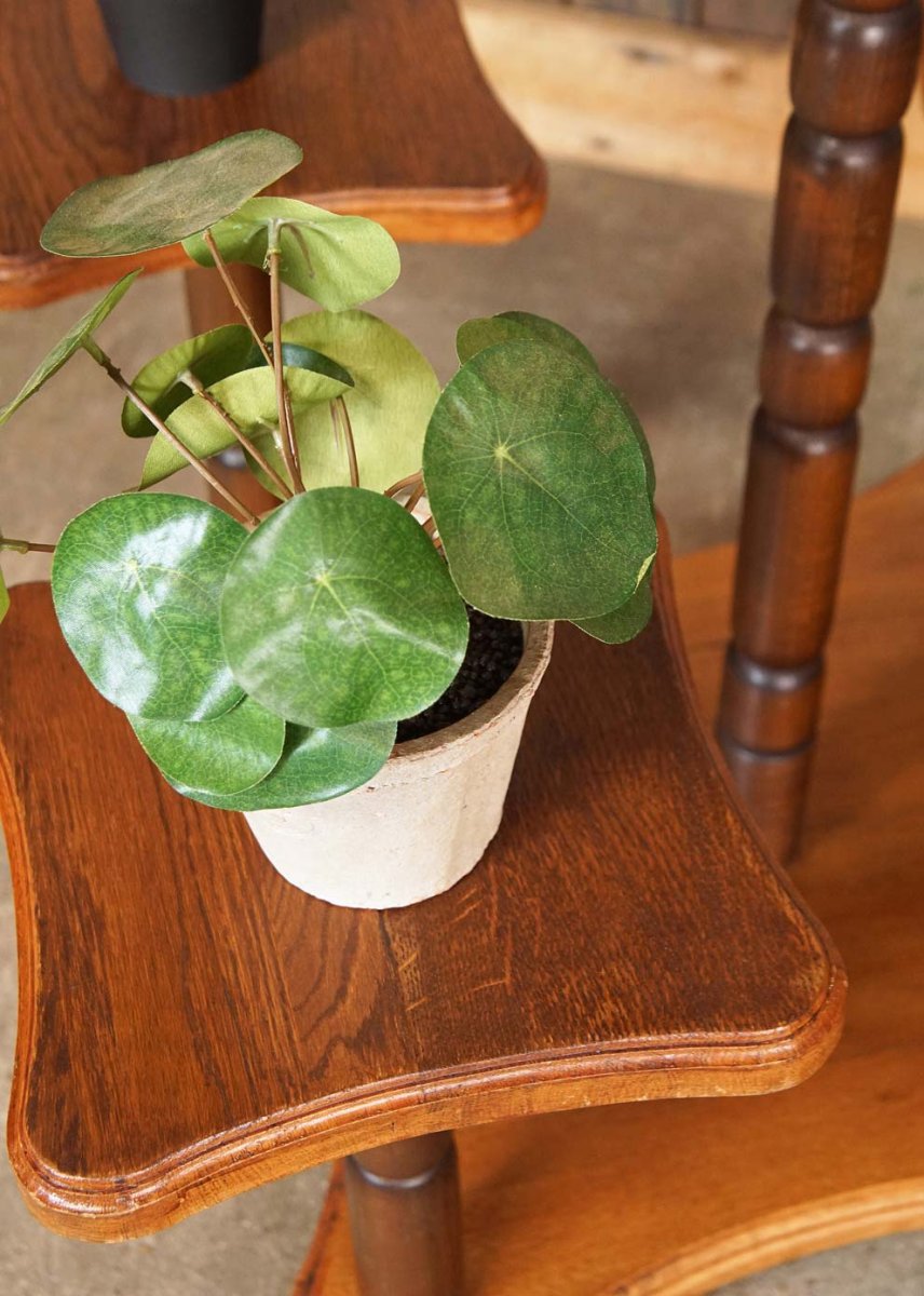 Grote oude houten brocante plantenstandaard met vijf plateaus – etagère bloemen standaard - Afbeelding 6