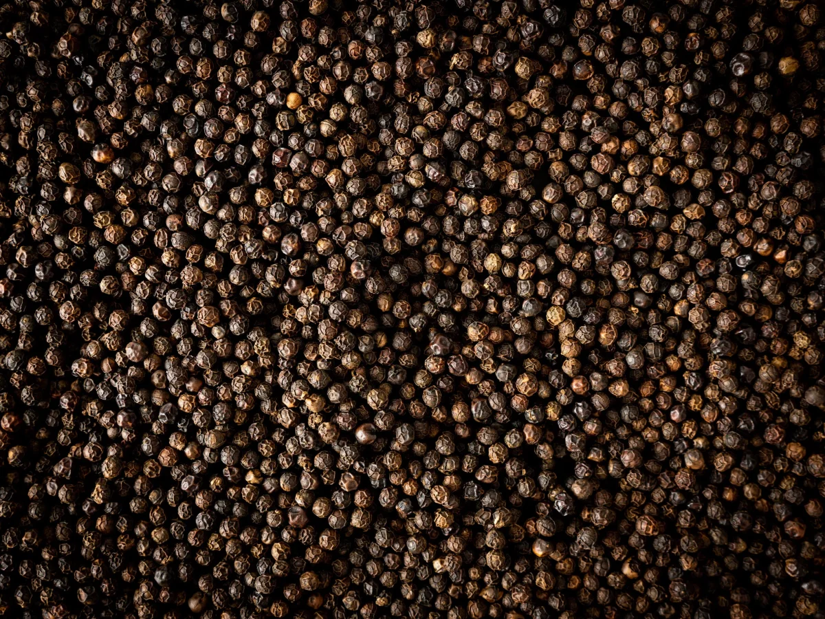 Peugeot - Kampot - zwarte peper - 3 x 20g - Afbeelding 3